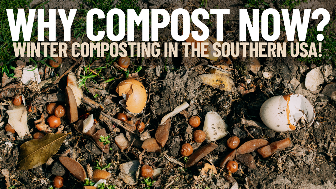 Winter Composting In The Southern USA